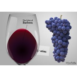 Srovnávací sada vín Barbera: Alba - Colli Tortonesi - Monferrato