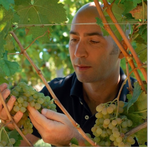Přivezli jsme pro Vás: vinařství Castellari-Bergaglio - vína Gavi DOCG